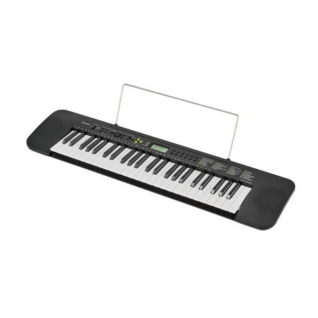 Casio CTK-240