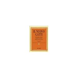 Il Nuovo Gatti
