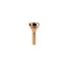Denis Wick Bocchino Trombone CLASSIC Gold Plated 4880-5BS